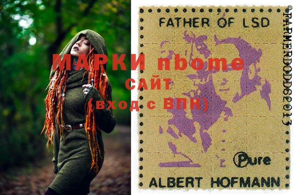 PSILOCYBIN Алзамай