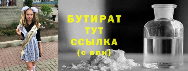 PSILOCYBIN Алзамай