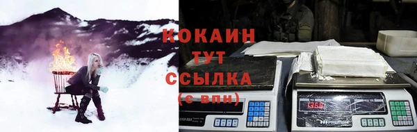 молекула духа Алексеевка