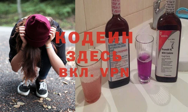 PSILOCYBIN Алзамай