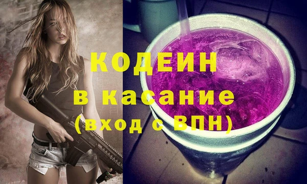 PSILOCYBIN Алзамай