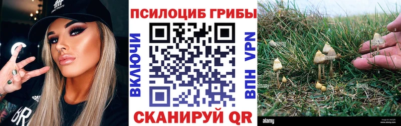 Псилоцибиновые грибы мицелий  цена наркотик  Ленинск-Кузнецкий 